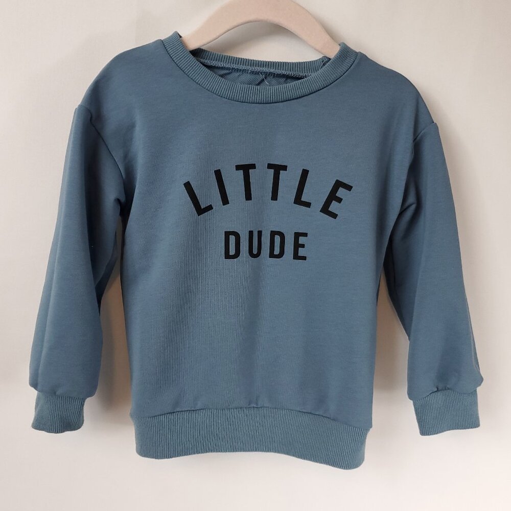 Adorable Blue/Grey Boys Long Slv Crew Neck Sweater "Little Dude" Sz 5T